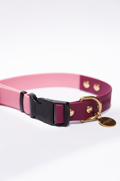 QR collar// 35-43cm