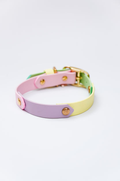 Pastel Biothane collar/  30-36cm