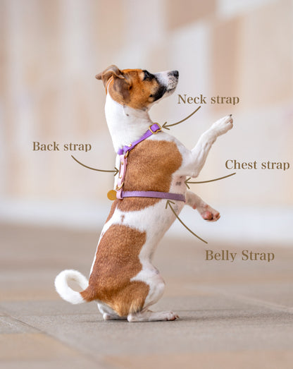 Adjustable Biothane Harness