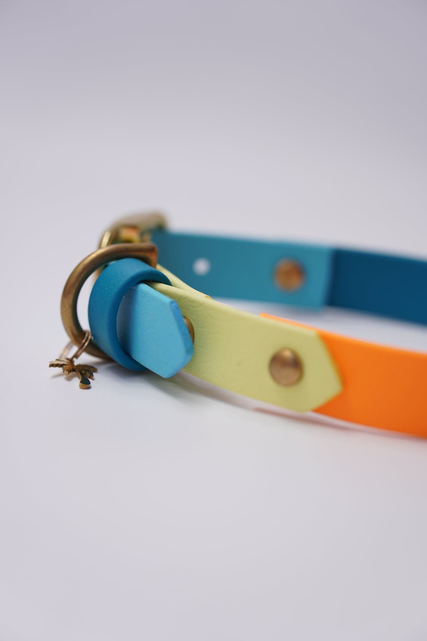Prague collar 20mm width (S/M)