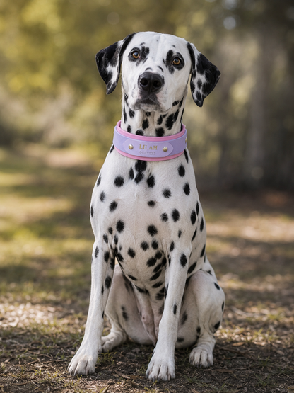 Paris Collar