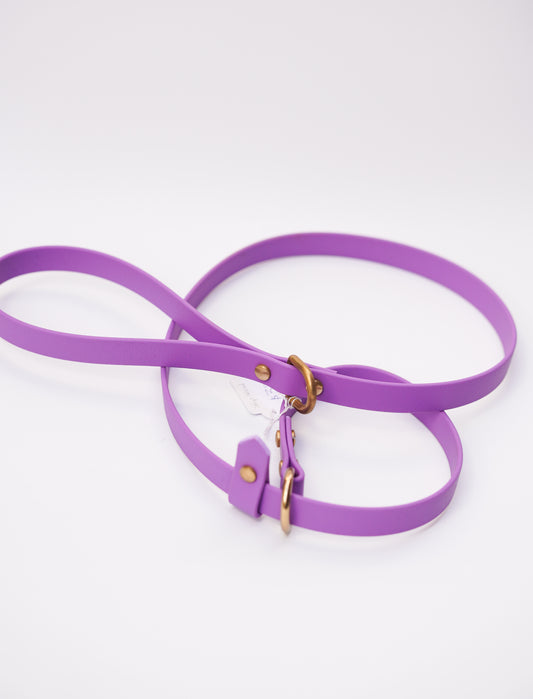 Slip leash