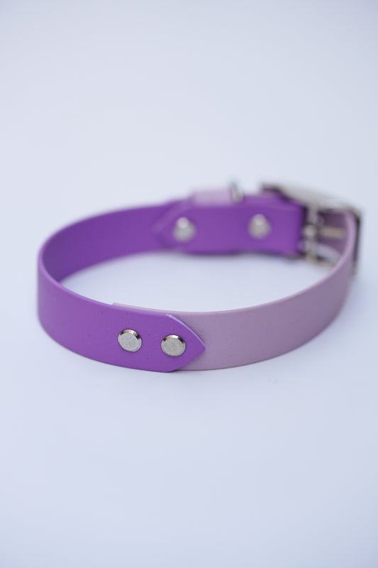 Prague collar 25mm width (M)