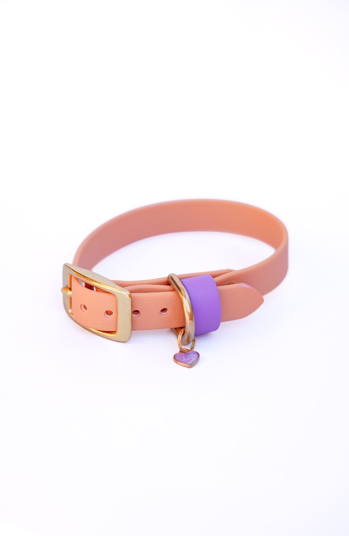 Puppy collar/24-28cm / Sable
