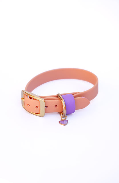 Puppy collar/24-28cm / Sable