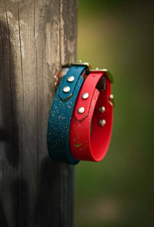 Size S red Seville collar