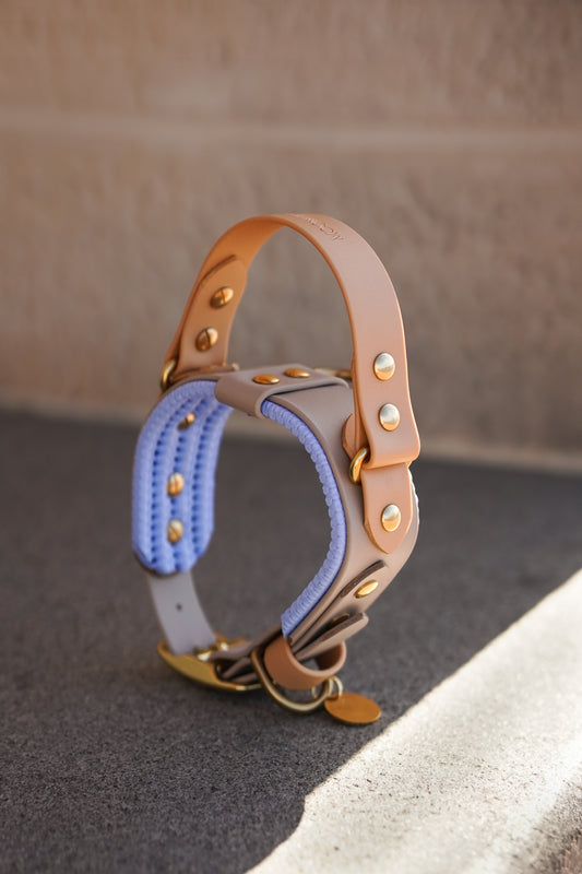 (NEW) Retractable Handle Collar