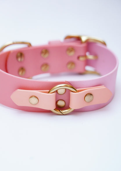 Biothane collar 38mm width size 38-46cm