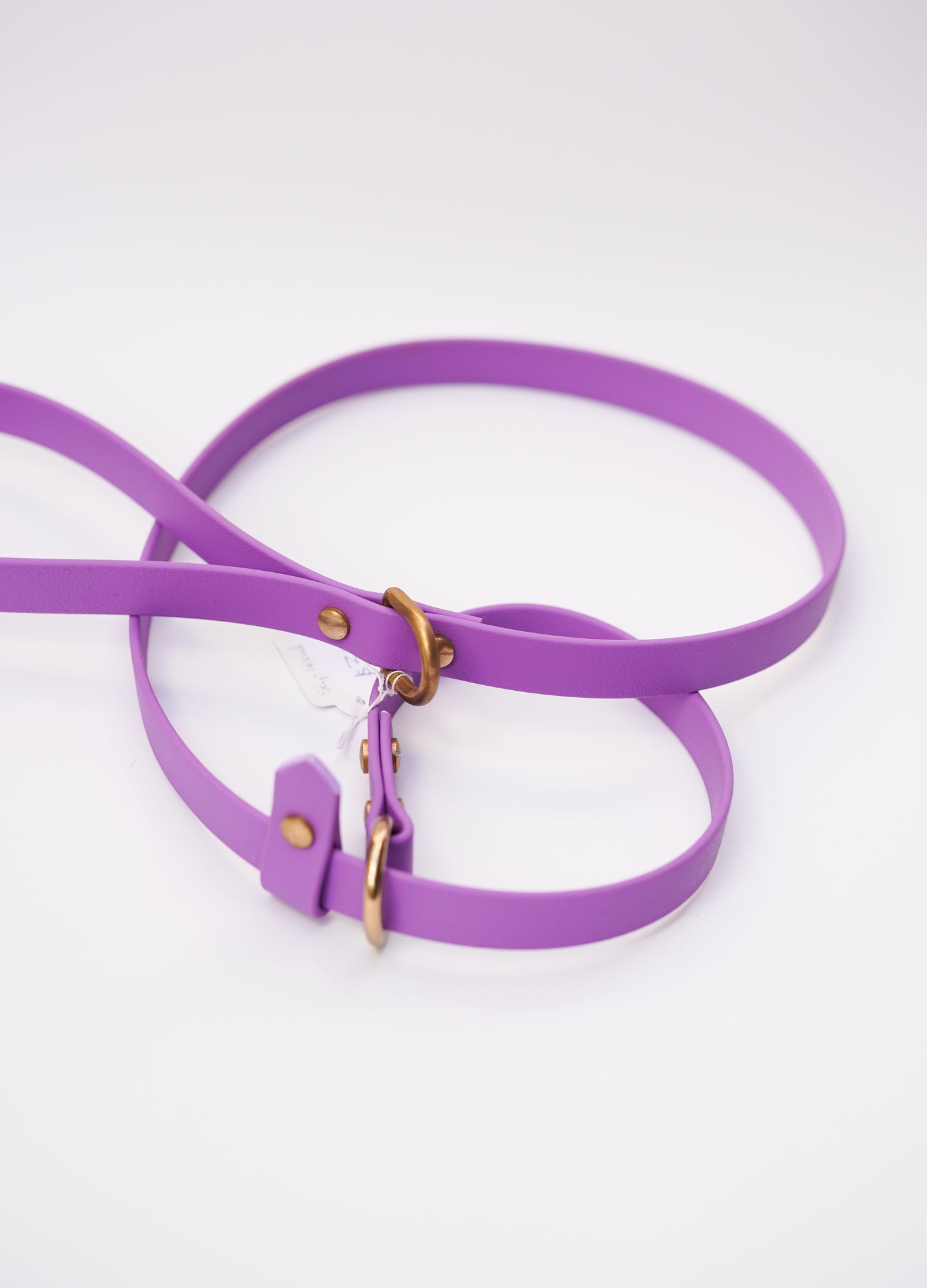 Slip leash