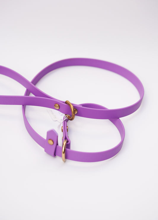 Slip leash