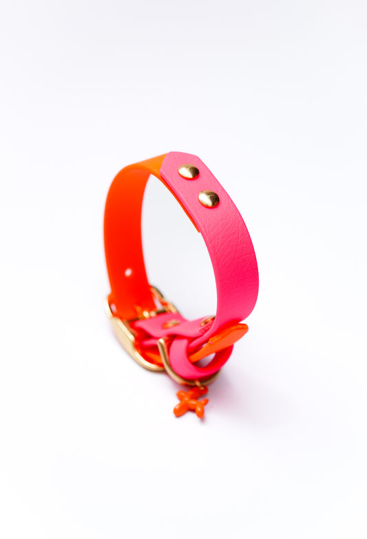 Biothane collar/  24-30cm