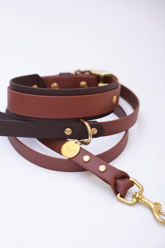 Collar & Leash set (35-45cm)