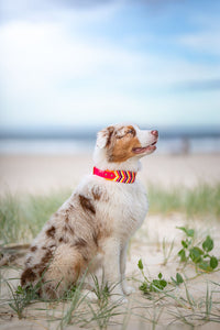 Sydney Tapered collar