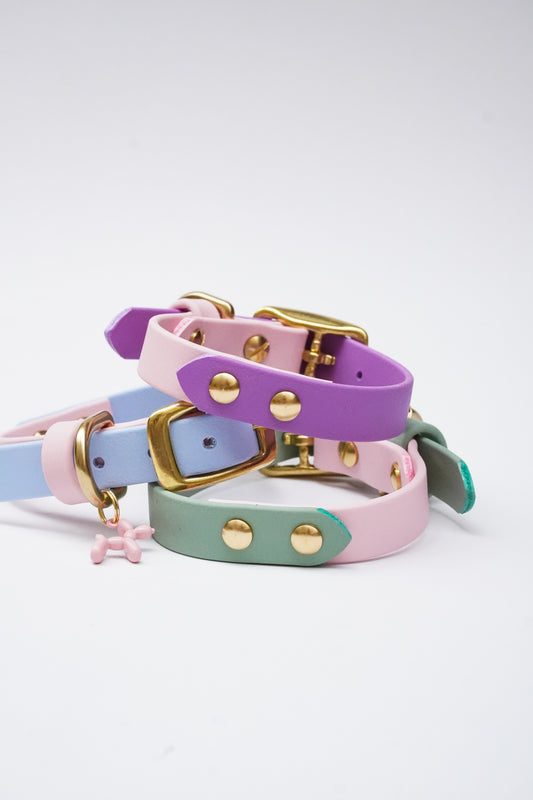 Lite Biothane Collar – Lot (21–27 cm)