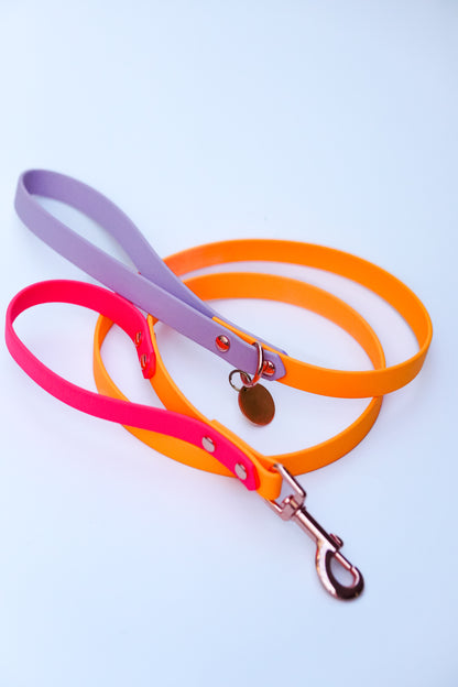 Sydney collars- Summer Combo