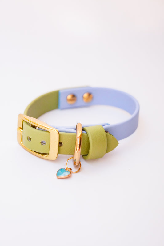Two-tone San Diego collar 16 width (22-26cm)