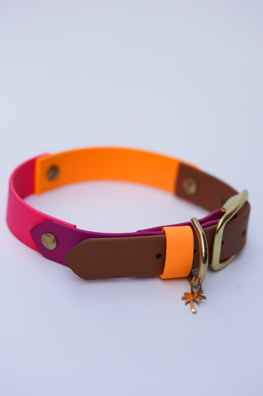 Prague collar 25mm width (M)