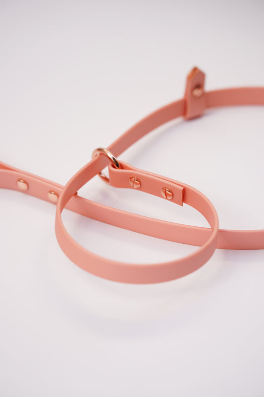 Shimmer pink Slip leash