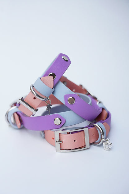 Prague collar 20mm width- various sizes