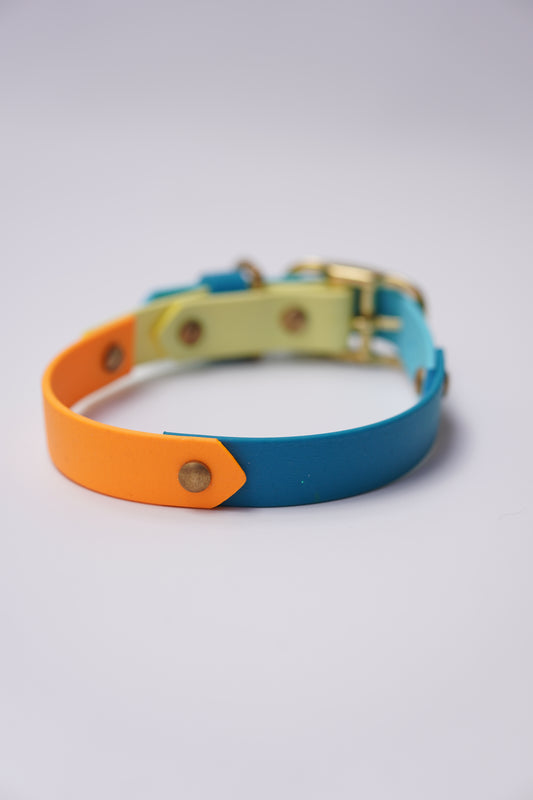 Prague collar 20mm width (S/M)