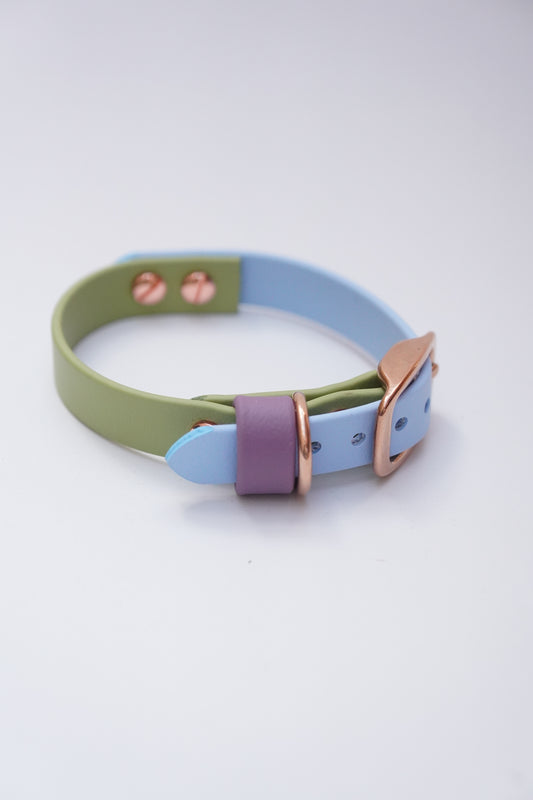 Two-tone San Diego collar 16 width (22-26cm)