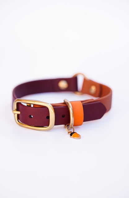 Biothane collar/  30-36cm+ o-ring