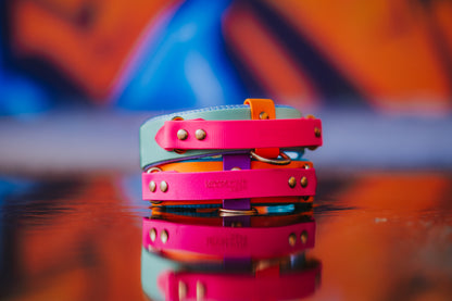 (NEW) Retractable Handle Collar