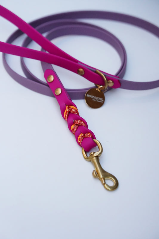 Biothane Leash 150cm
