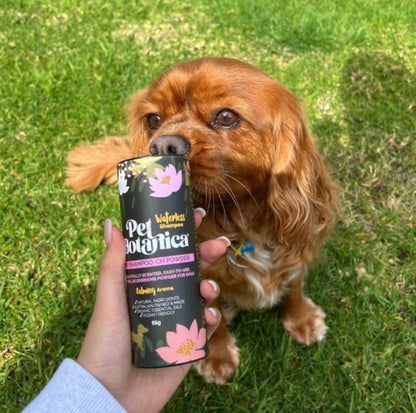 Dry Shampoo-CH Powder- Charcoal