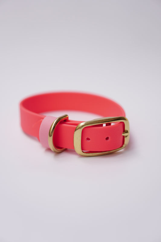 SD collar 20mm width (25-31cm) neon pink