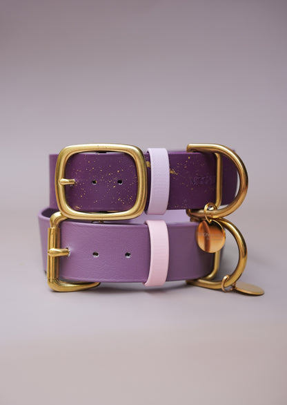 Custom 38mm Biothane® collar