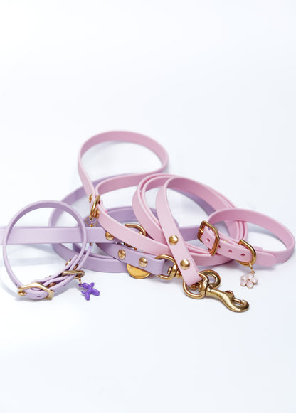 Puppy pack set
