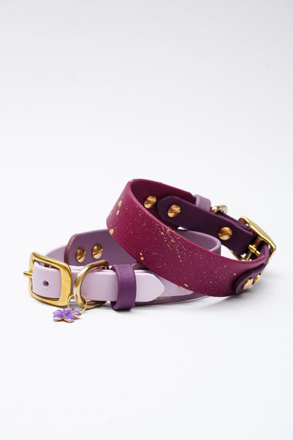 Seville collars