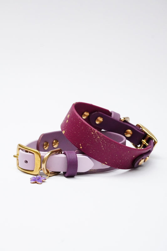Seville collars