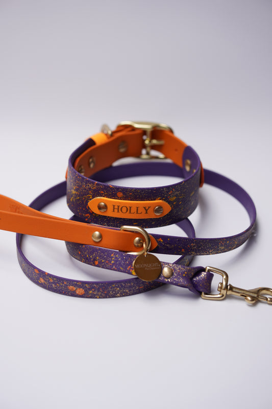 Collar and leash set