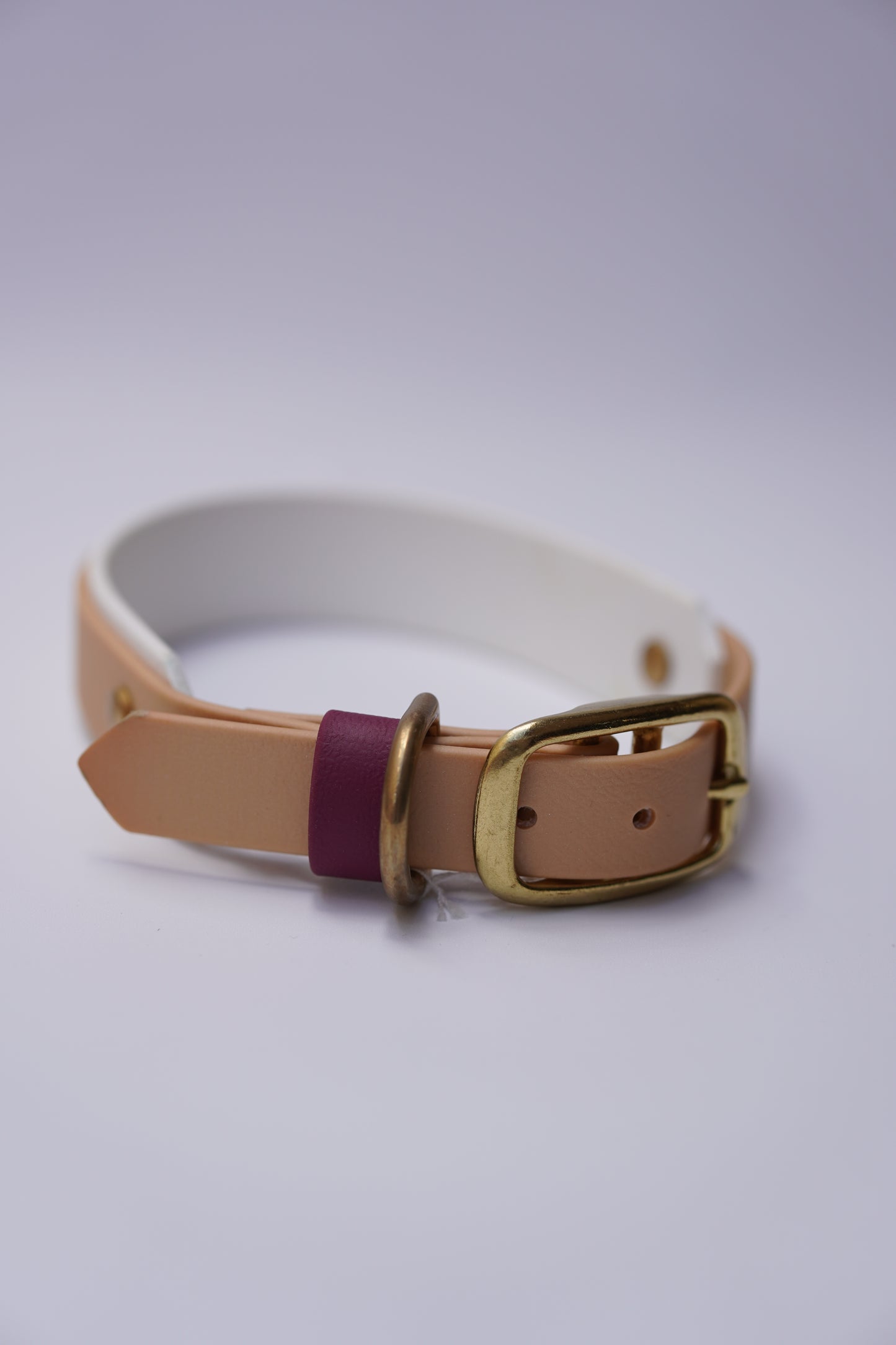 Paris collar (30-36cm) Champagne & white