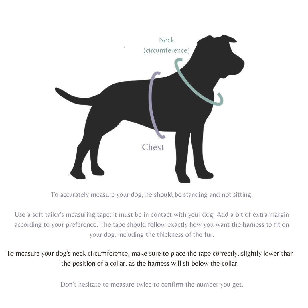 Wanderlust Harness