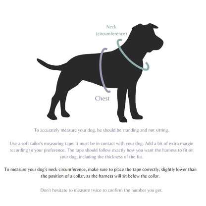 Wanderlust Harness