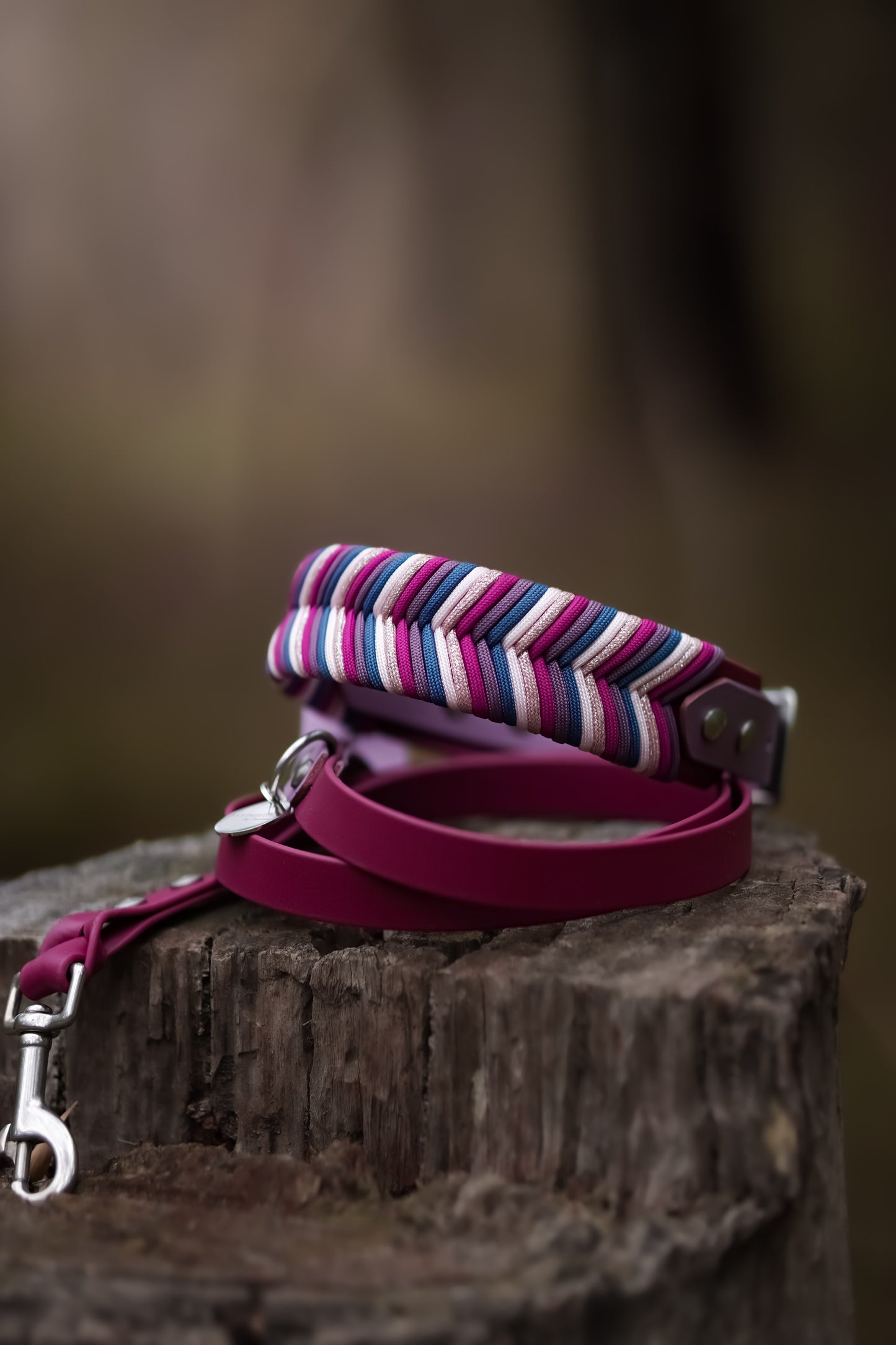 Tapered Sydney Collar