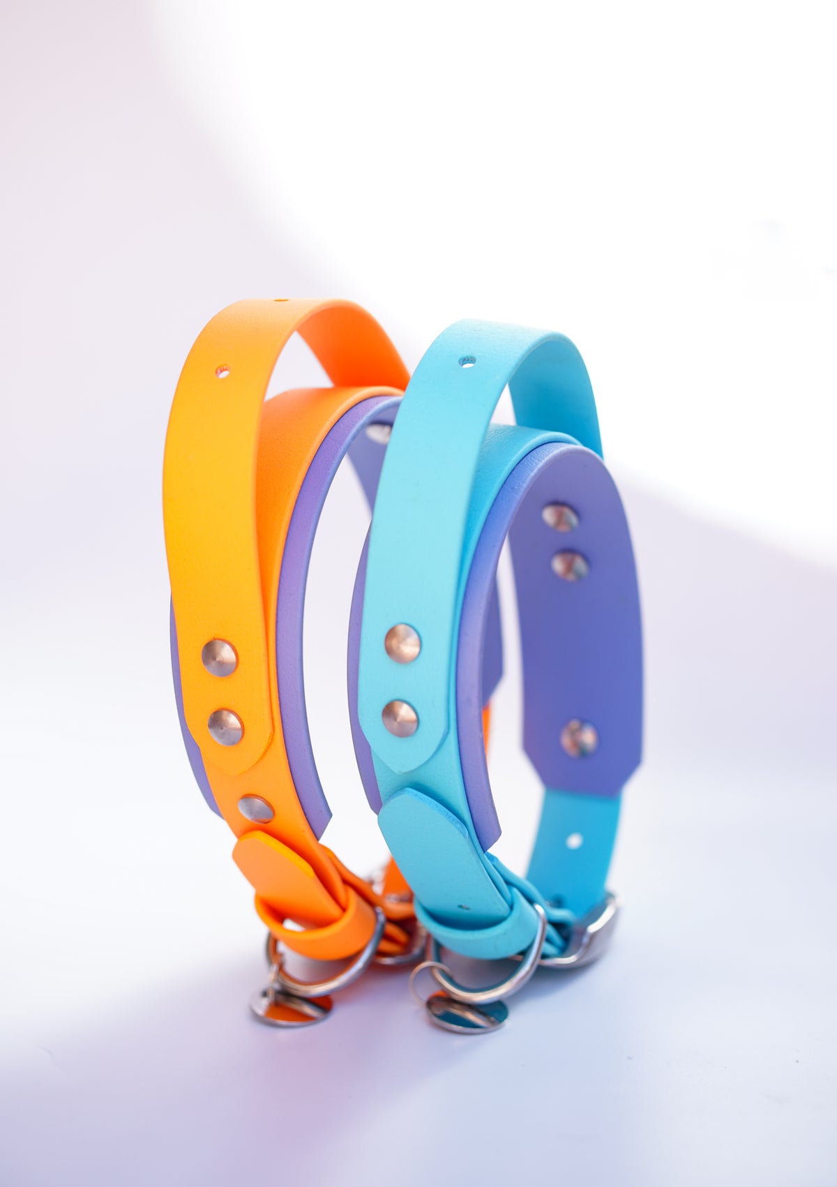 Paris collar with Handle & Name plate // 35-45cm