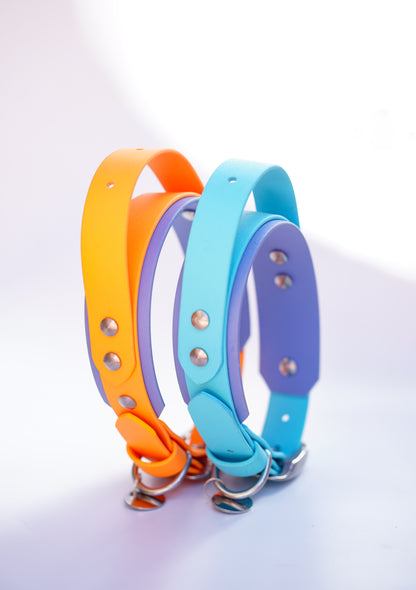 Paris collar with Handle & Name plate // 35-45cm