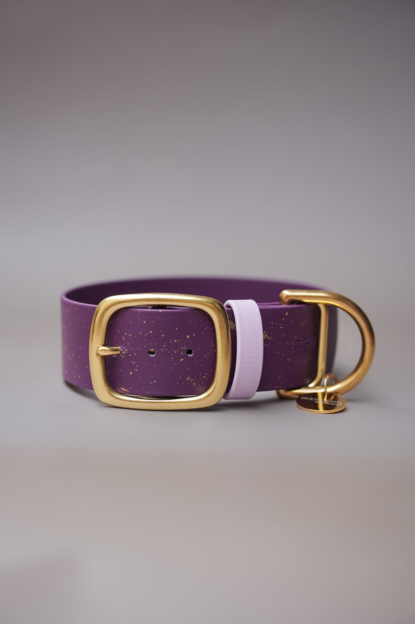 Custom 38mm Biothane® collar