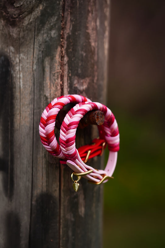 (TOY BREEDS) Sydney collar