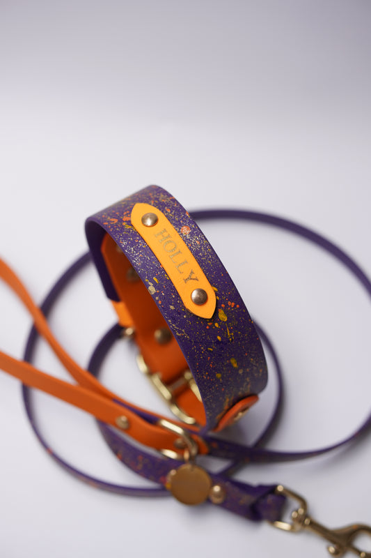 Collar and leash set