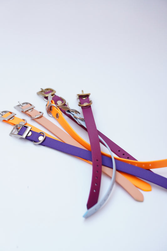 Puppy collar bundle
