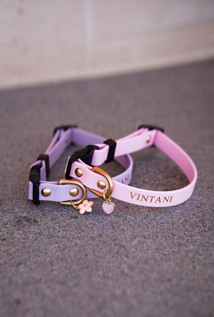Thin Quick Release collar (Plastic Buckle)