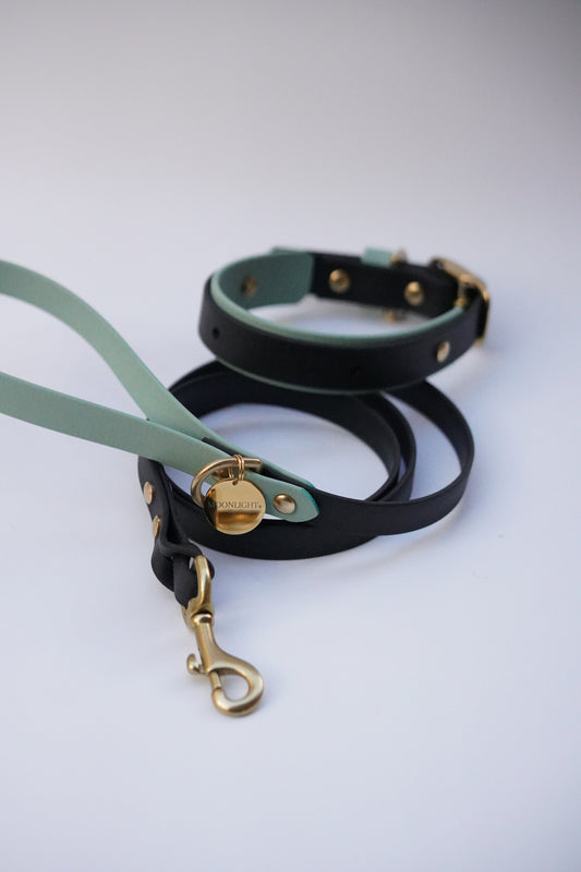 Collar and leash set ( Black & Sage)