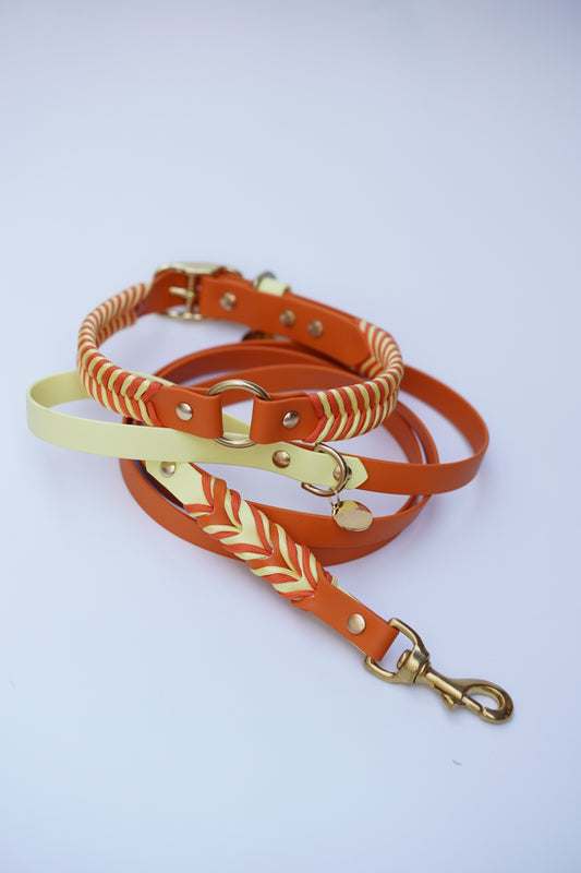 Collar and leash set- 52-62cm