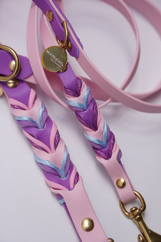 Twisted biothane leash
