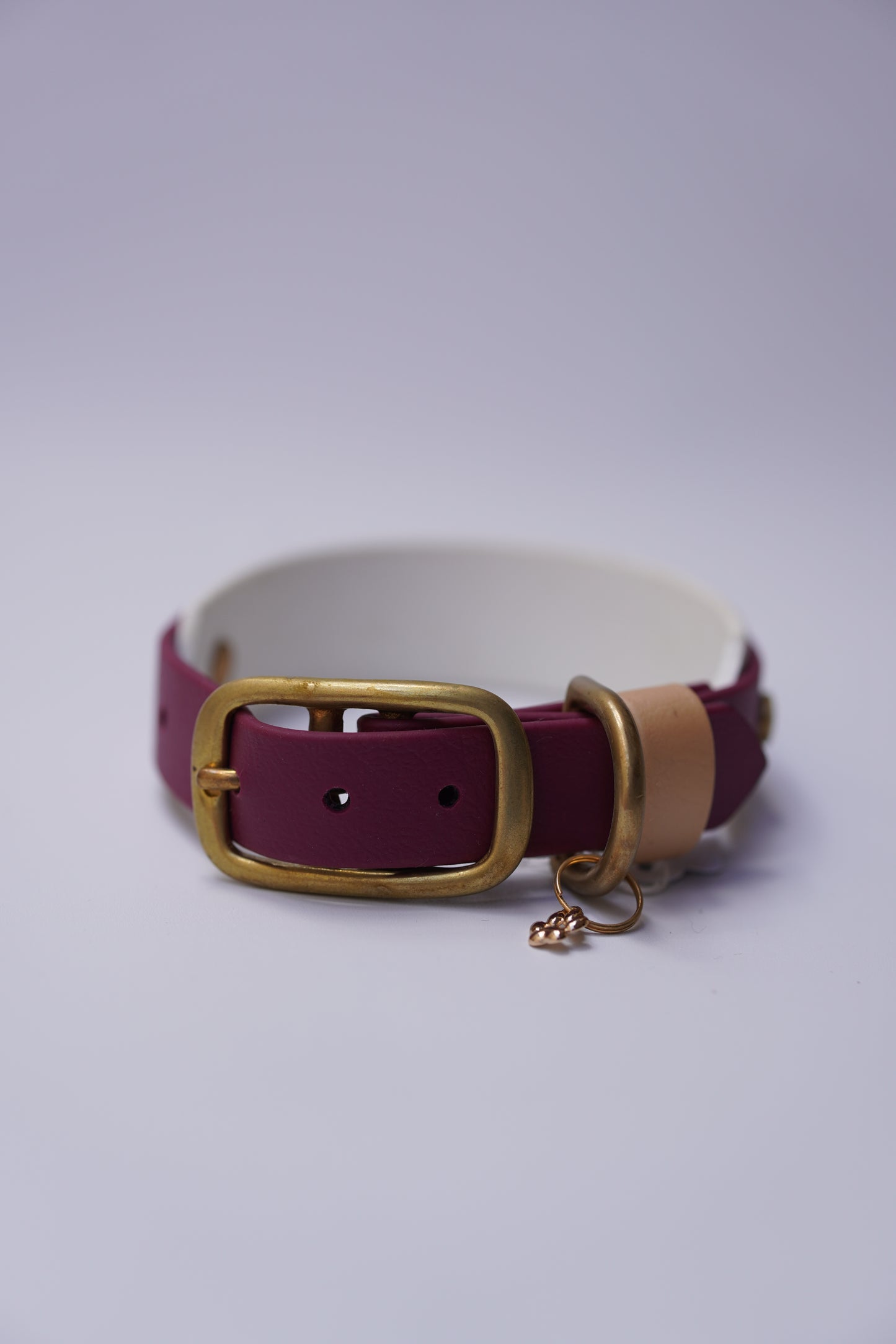 Paris collar (25-31cm) Wine & white